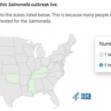 Salmonella outbreak linked to wild birds