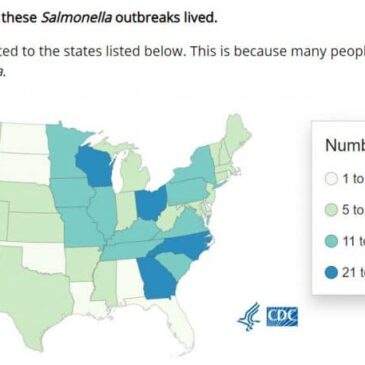 Salmonella outbreaks linked to backyard poultry