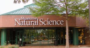 Museum of Natural Science to host Archaeology Expo on October 12