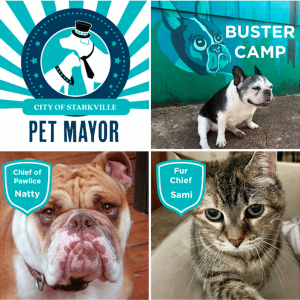 Buster Camp elected as pet mayor of Starkville