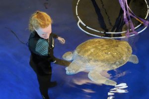 Mississippi Aquarium adds Kemp’s ridley sea turtle to exhibit